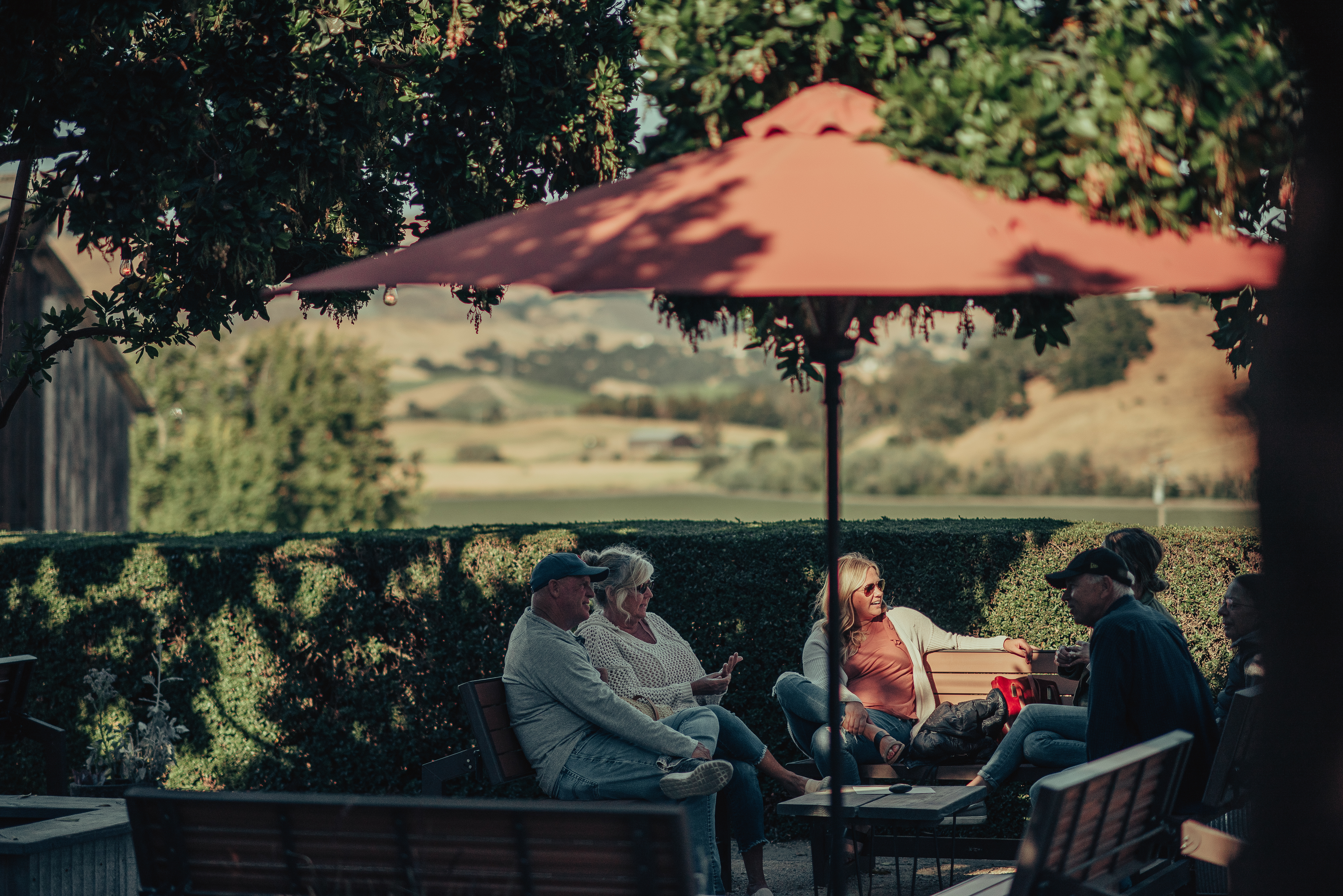 Kynsi Winery